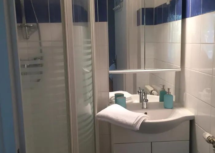 Le Vichyssois * Vichy